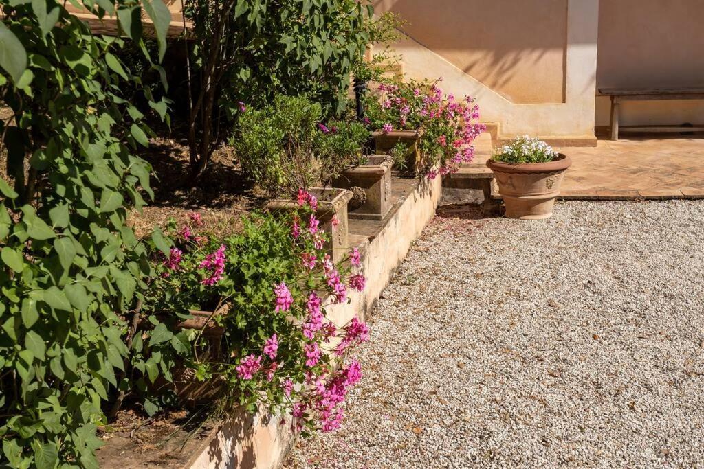 Apartment In Nature,10Min From City Perugia Exteriér fotografie