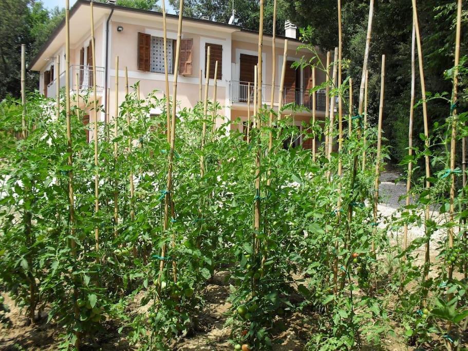 Apartment In Nature,10Min From City Perugia Exteriér fotografie