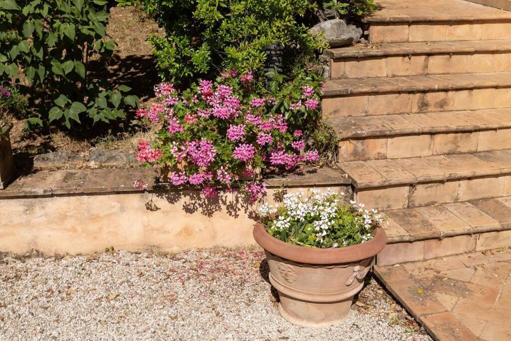Apartment In Nature,10Min From City Perugia Exteriér fotografie